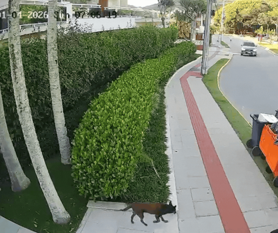 foto Not&iacute;cia Lages