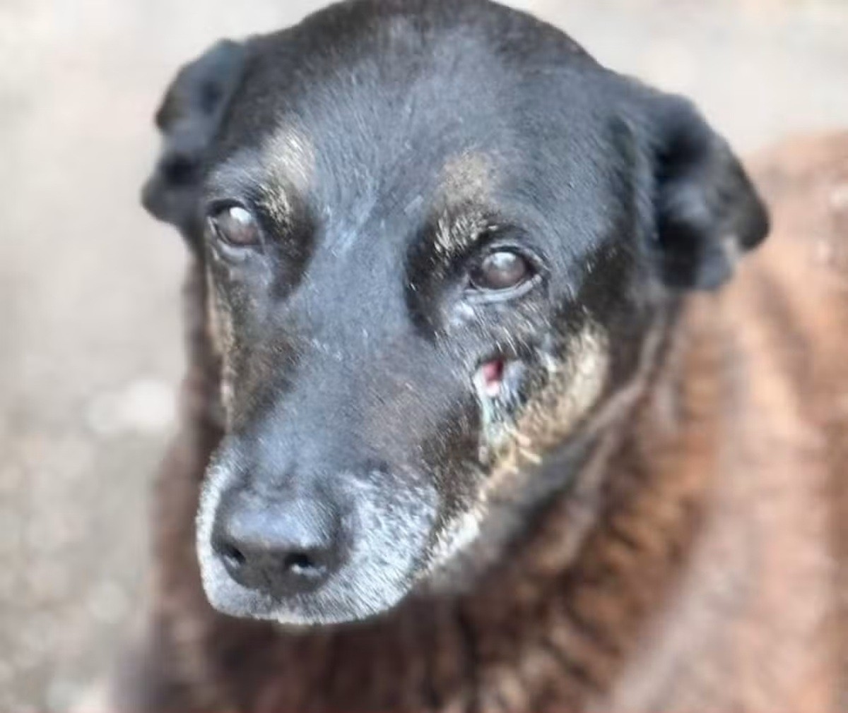 foto Not&iacute;cia Lages