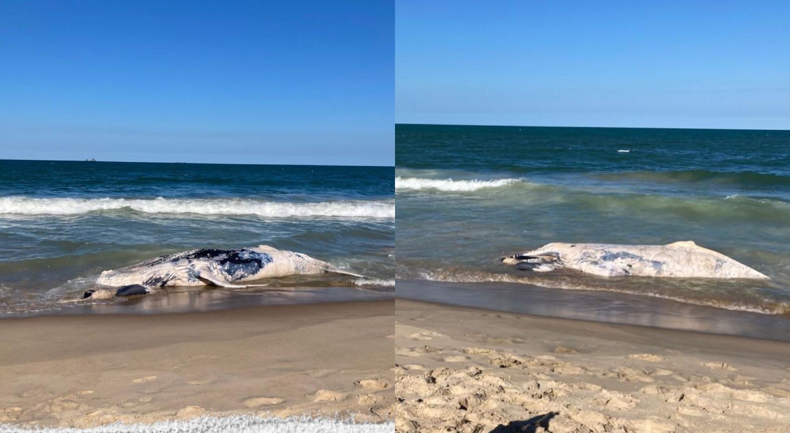 foto Not&iacute;cia Lages