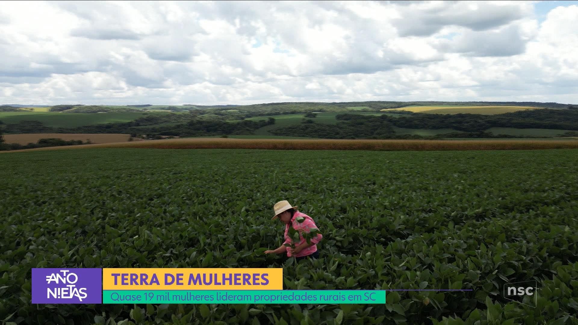 foto Not&iacute;cia Lages