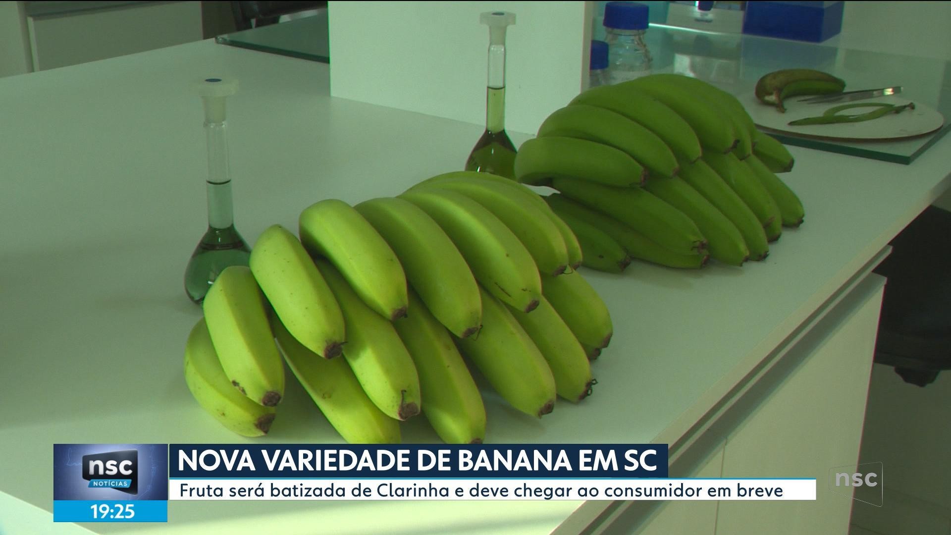 foto Not&iacute;cia Lages