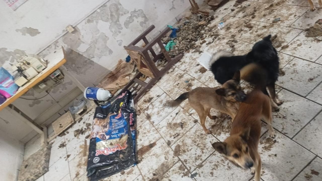 foto Not&iacute;cia Lages